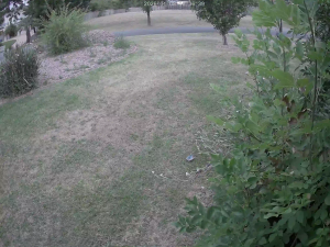 Caméra IP - Australia