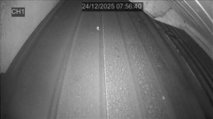 Caméra IP - Hungría