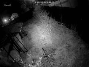 Caméra IP - Vereinigte Staaten von Amerika