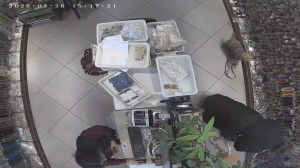 Caméra IP - Russian Federation