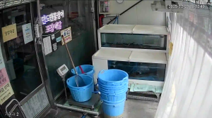 Caméra IP - Corea del Sud