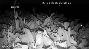 Caméra IP - Portugal