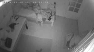 Caméra IP - Tunisie