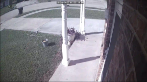 Caméra IP - Estados Unidos