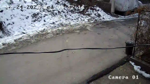 Caméra IP - Uzbekistan