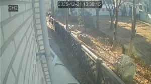 Caméra IP - South Korea