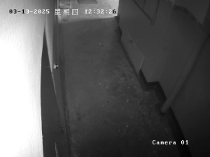 Caméra IP - Russian Federation