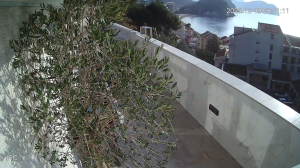 Caméra IP - Montenegro