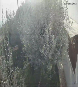 Caméra IP - Tunesien