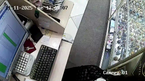 Caméra IP - Russian Federation