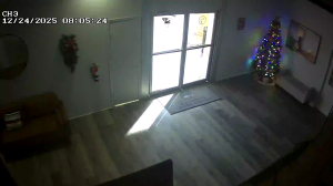 Caméra IP - Royaume-Uni