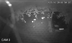 Caméra IP - Rumänien