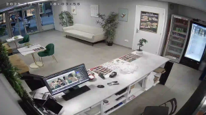 Caméra IP - Netherlands