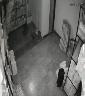 Caméra IP - Colombia