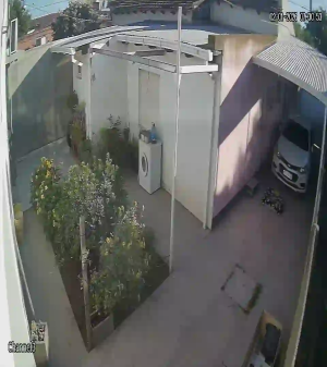 Caméra IP - Vue en direct