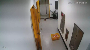 Caméra IP - Corée du Sud