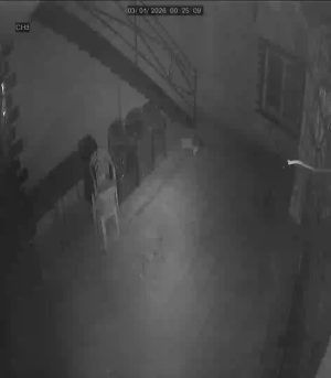 Caméra IP - Russian Federation