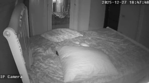 Caméra IP - Russische Föderation