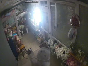 Caméra IP - Vue en direct