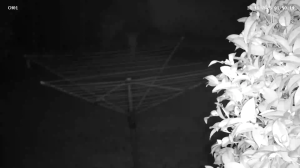 Caméra IP - Vereinigtes Königreich