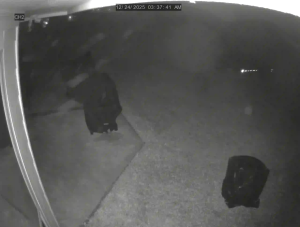 Caméra IP - États-Unis d'Amérique