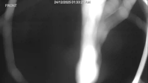 Caméra IP - Nouvelle-Zélande