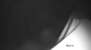 Caméra IP - Germany