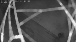 Caméra IP - Belgien