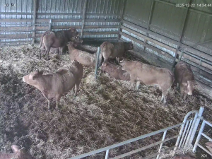 Caméra IP - Francia