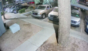 Caméra IP - United States of America