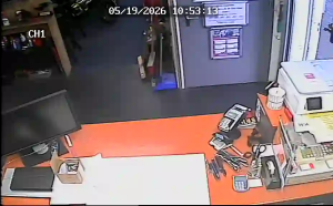 Caméra IP - Netherlands