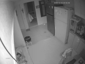 Caméra IP - South Korea