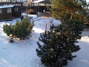 Caméra IP - Russian Federation