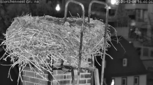 Caméra IP - Germany