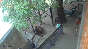 Caméra IP - Argentina