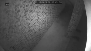 Caméra IP - États-Unis d'Amérique