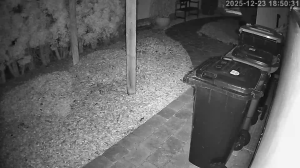 Caméra IP - Alemania