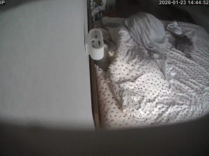 Caméra IP - Ucrania