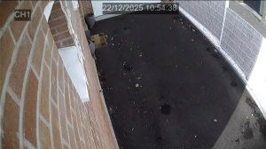 Caméra IP - Frankreich