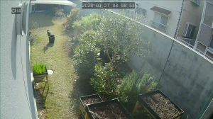 Caméra IP - Giappone