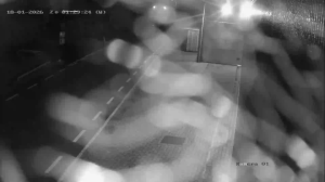 Caméra IP - Netherlands