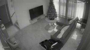 Caméra IP - Malasia