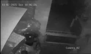 Caméra IP - Ucrania