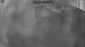 Caméra IP - Thailand