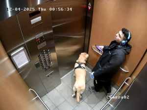 Caméra IP - Canadá