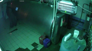 Caméra IP - Russische Föderation