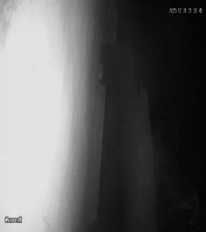 Caméra IP - Algerien