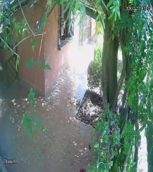 Caméra IP - Bolivien