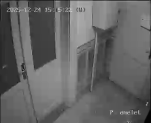 Caméra IP - Hungría