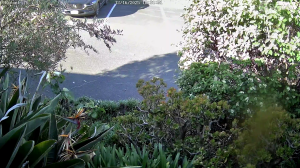 Caméra IP - Australien